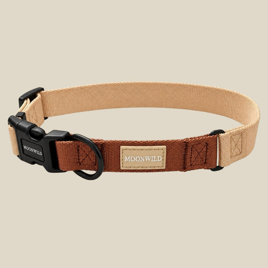 Halsband Jack